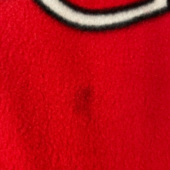 Rare Washington Wild Things Baseball Blanket - Picture 5 of 5